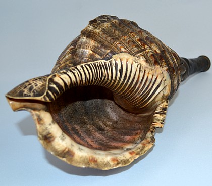 �������, ����������� ���������� ���� �� ������� ������� ��������