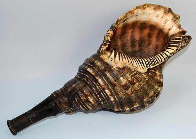 ���������� ����������� ���� �������, ����� ����� ���