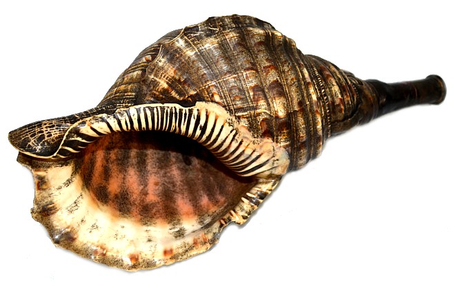 ���������� ����������� ���� �������, ����� ����� ���